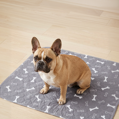 PoteMat™ - Det siste puteunderlaget hunden din noen gang trenger